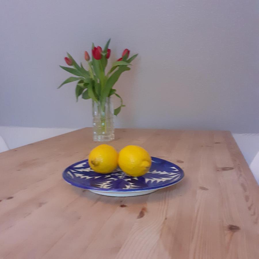 Solyst Apartment Силкеборг Екстериор снимка